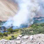 Incendio forestal en valle de Ilo 