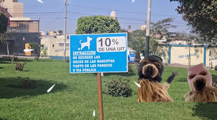 Heces de perro en áreas públicas: Un problema ambiental que podría costarte más de 500 soles en Tacna