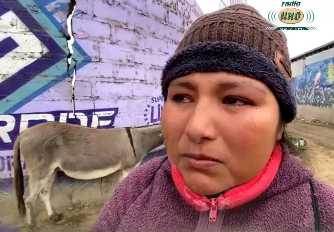 Abusiva MPT quita burra y cría a vendedoras – El reportero andino