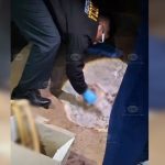 Hallan restos óseos en sector Fundo Chololo