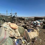Fiscalía Ambiental interviene criadero informal de cerdos en la parte baja de Tacna