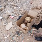 Hallan nueve cráneos y restos óseos en descampado de Ilo