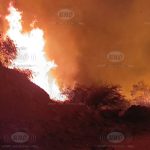 Incendio forestal arrasa plantaciones de palta en Omate
