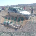Policía muere tras despiste y volcadura en la Panamericana Sur