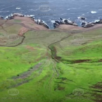 Manto verde cubre Quebrada de Burros tras lluvias