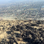 Publican de manera arbitraria ordenanza que mutila zona protegida de las Siemprevivas
