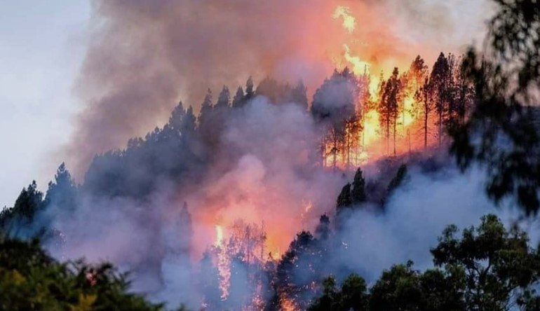 Seis incendio forestales azotan Apurímac 