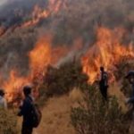Incendios forestales alcanzan hasta 7 metros de altura en Puno 