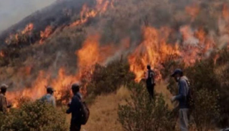 Incendios forestales alcanzan hasta 7 metros de altura en Puno 