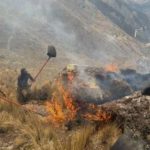 Más de 50 incendios forestales arrasan Ayacucho