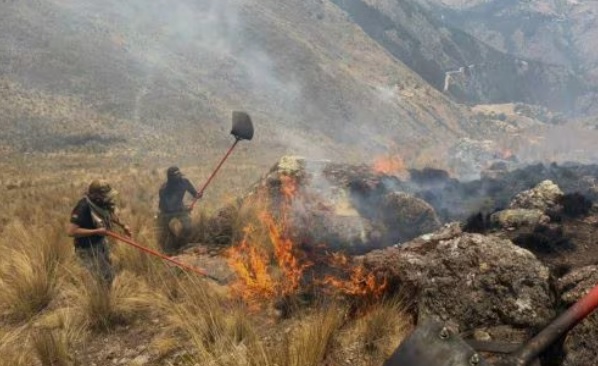 Más de 50 incendios forestales arrasan Ayacucho